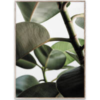 Green Home 03 poster 30x40